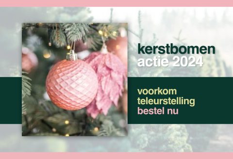 Bestel hier topkwaliteit kerstbomen